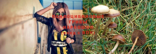 гашиш Абаза