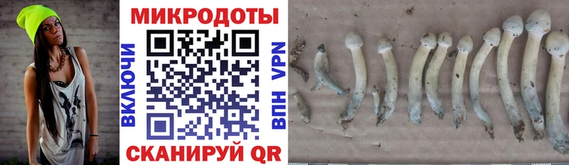Псилоцибиновые грибы ЛСД  Камызяк 